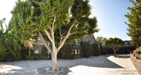 Enlarge photo 10
