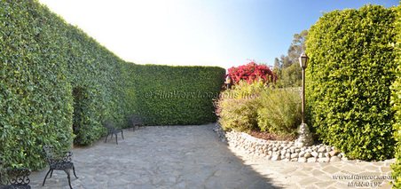 Enlarge photo 51