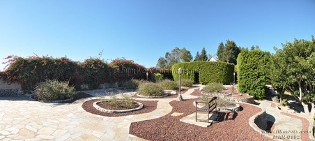 Enlarge photo 53
