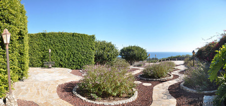 Enlarge photo 54