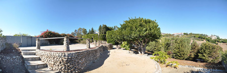 Enlarge photo 57