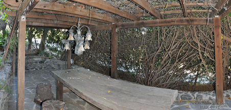 Enlarge photo 72