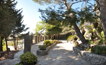 Enlarge photo 90