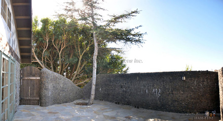 Enlarge photo 97