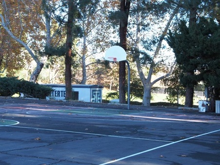 Enlarge photo 11