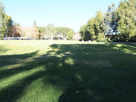 Enlarge photo 25