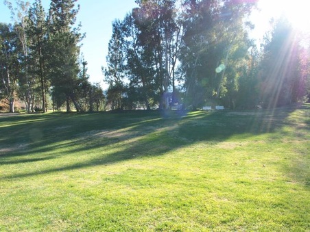 Enlarge photo 27