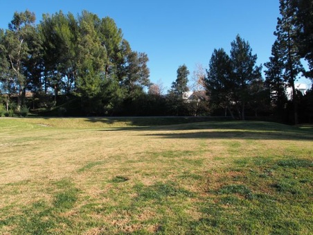 Enlarge photo 28