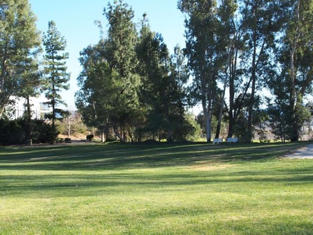 Enlarge photo 32