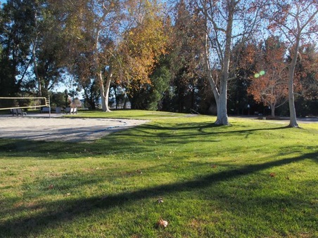 Enlarge photo 36