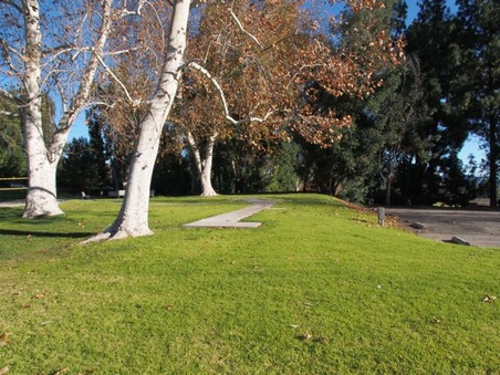 Enlarge photo 38