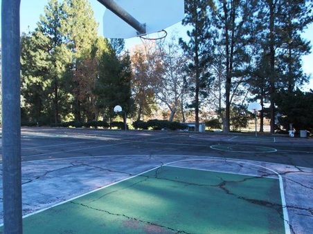 Enlarge photo 46