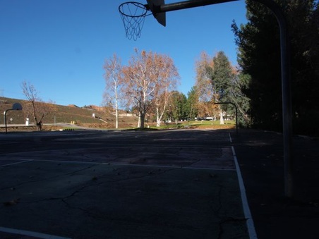 Enlarge photo 53