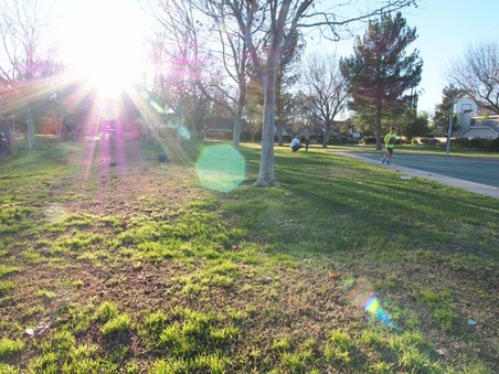 Enlarge photo 12