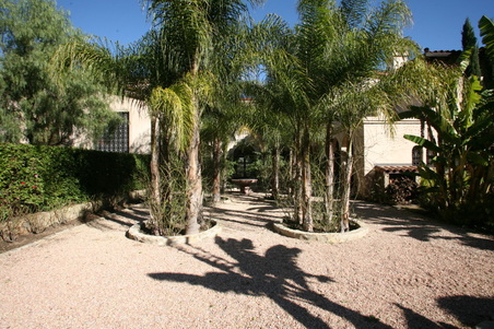 Enlarge photo 142