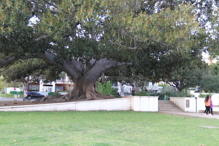 Enlarge photo 29