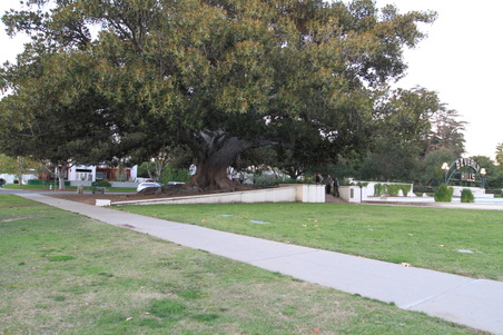 Enlarge photo 31