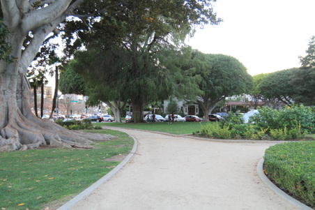 Enlarge photo 43