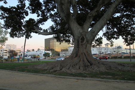 Enlarge photo 45