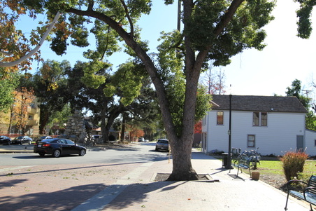 Enlarge photo 10