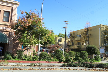 Enlarge photo 13