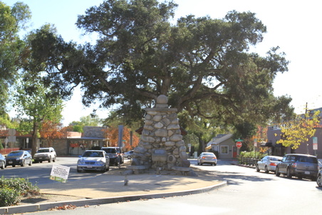 Enlarge photo 15