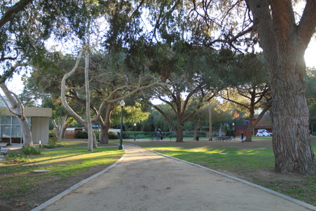 Enlarge photo 18