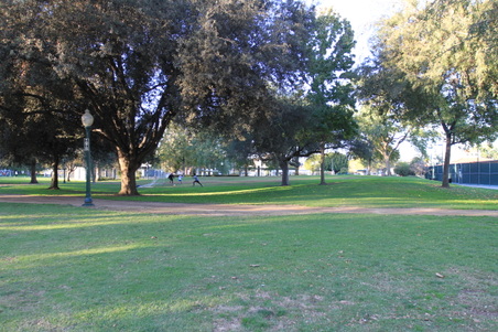 Enlarge photo 24