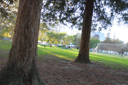Enlarge photo 32