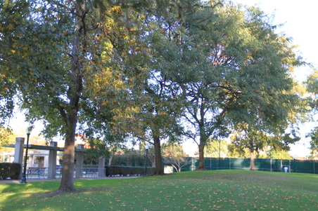 Enlarge photo 33