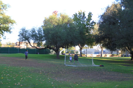 Enlarge photo 35