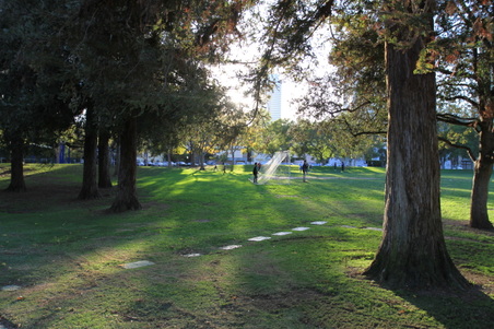 Enlarge photo 41