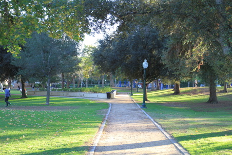 Enlarge photo 42