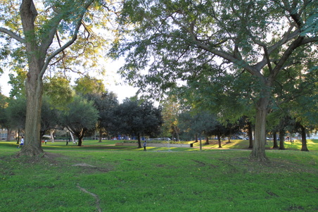 Enlarge photo 45