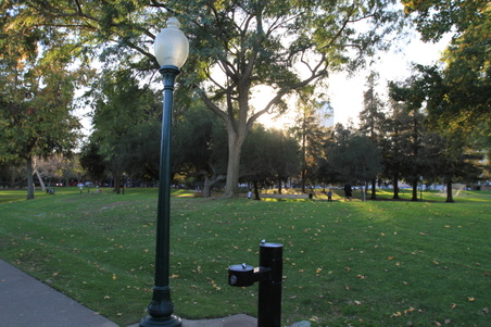 Enlarge photo 49