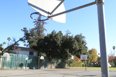 Enlarge photo 24