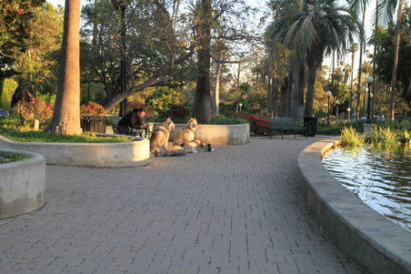 Enlarge photo 8