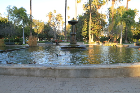 Enlarge photo 16