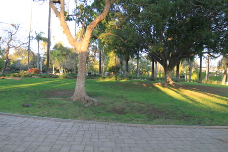 Enlarge photo 22