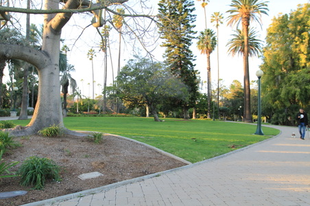 Enlarge photo 28