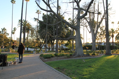 Enlarge photo 31