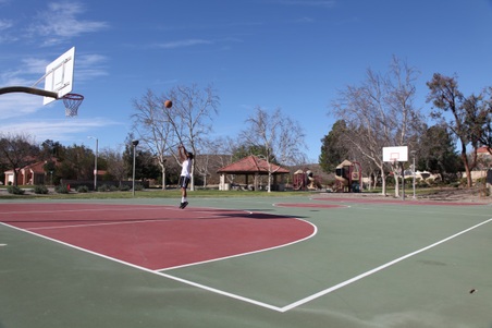 Enlarge photo 24