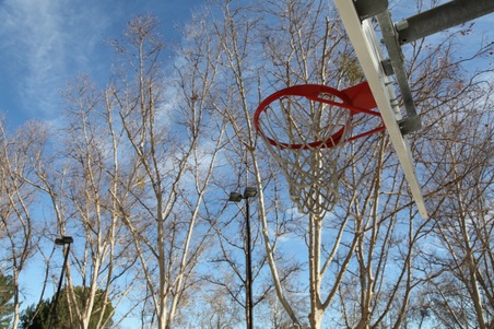 Enlarge photo 9