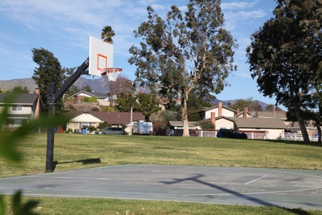 Enlarge photo 18
