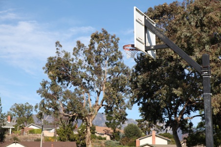 Enlarge photo 19