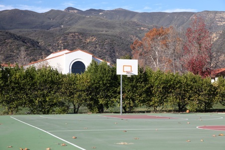 Enlarge photo 14