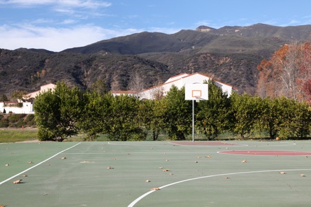 Enlarge photo 15