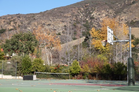 Enlarge photo 33
