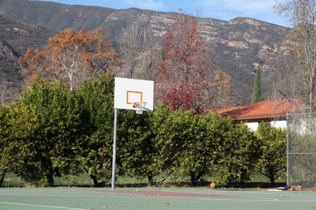 Enlarge photo 34