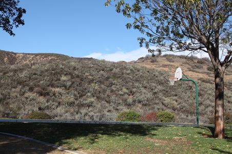 Enlarge photo 18